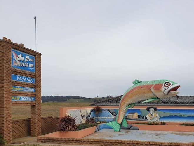 Big trout motor inn