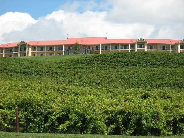 Turners vineyard