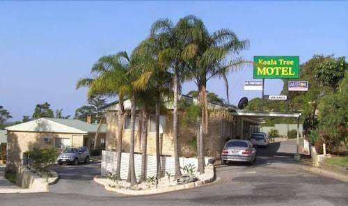 Koala tree motel