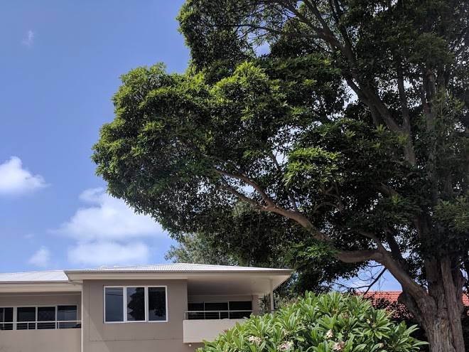 Dutchmans Bay Escape Image