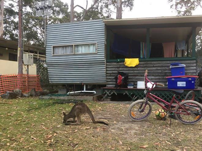 Bream Beach Holiday Park Image