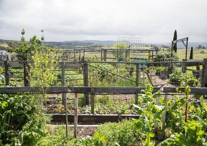 Cupitt's Estate Image