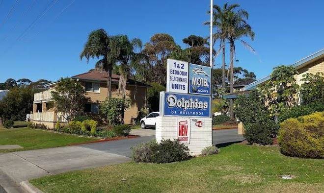 Dolphins Of Mollymook Image