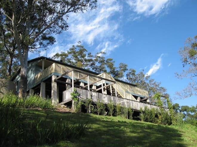 Hillside kangaroo valley