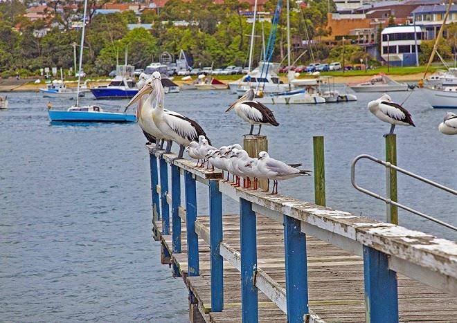 Sandpiper Motel Image