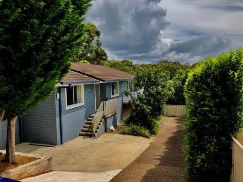 Southern belle mollymook