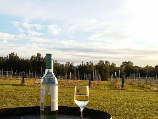 La vigna estate hunter valley