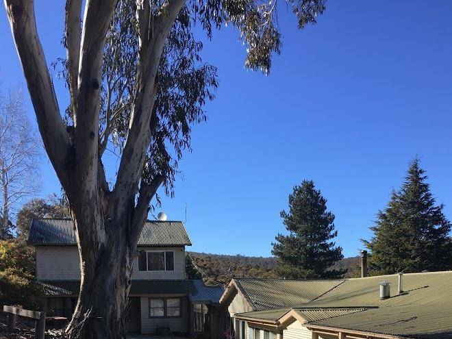 Cool Mountain Lodge Group Specialist Image