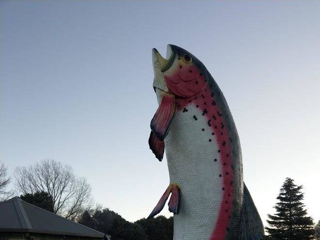 The Snow Goose Hotel Image