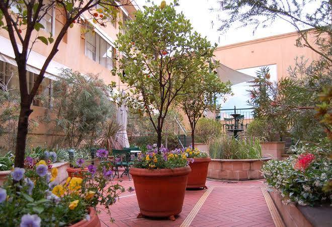 Arts hotel
