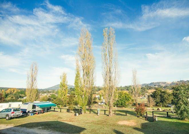 Bendemeer tourist park
