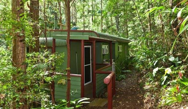 Wychwood forest escape