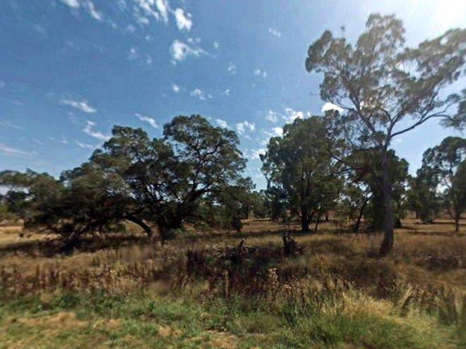 Goonoo homestead