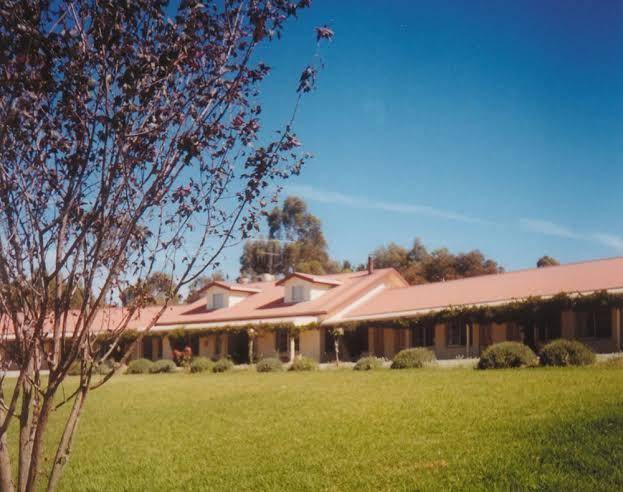 Motel royal tara
