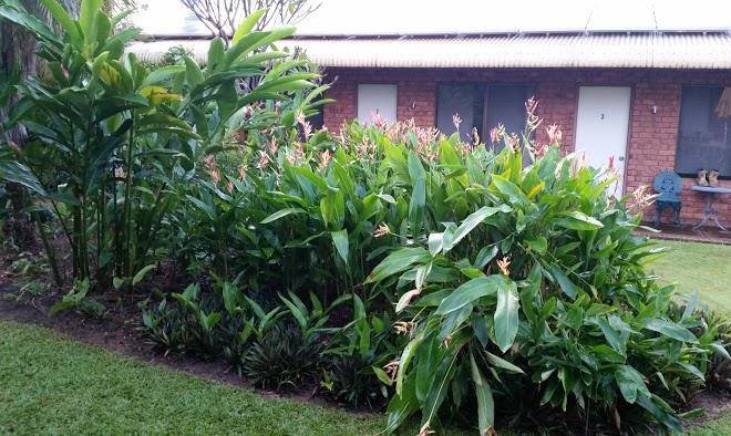 Pine Creek Hotel Image