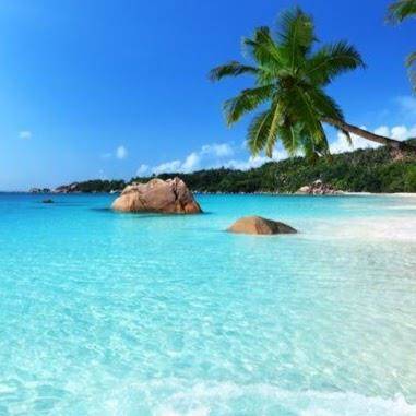 Bluewater dream
