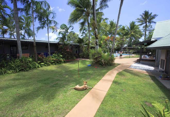 Scottys Mission Beach Hostel
