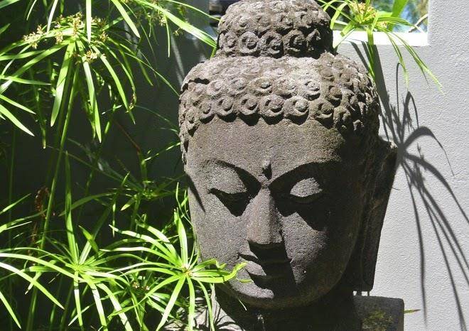 Tali South Mission Beach Image