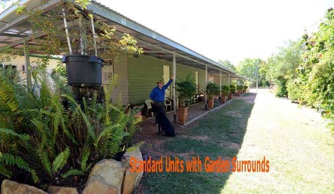 Affordable gold city motel