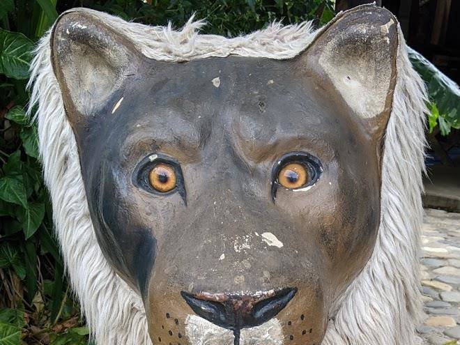 Lions den hotel