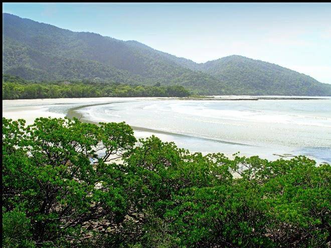 Cape tribulation sanctuary
