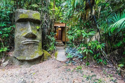 Rainforest hideaway b&b
