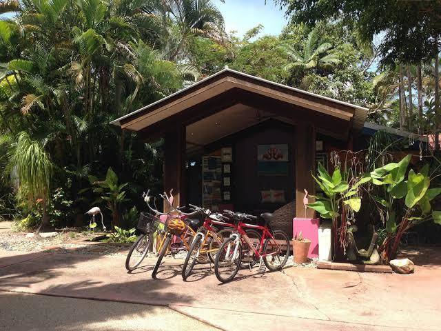 Pink flamingo resort