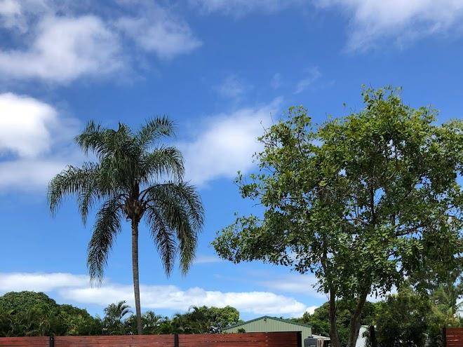Big4 hervey bay holiday park