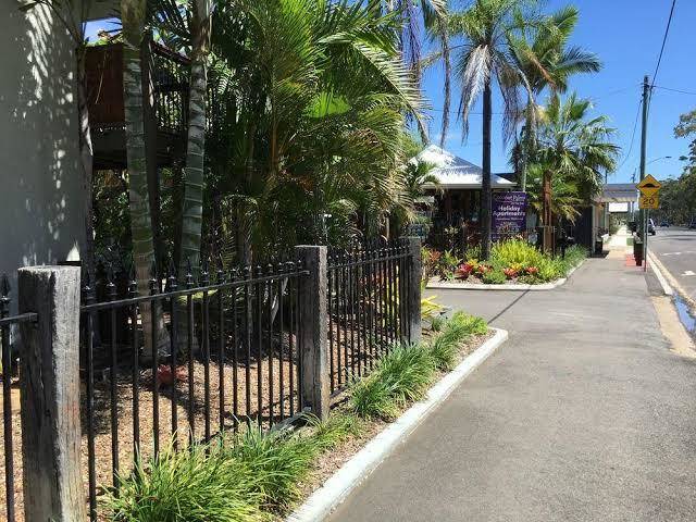 Coconut palms on the bay