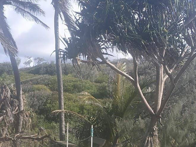 Fraser beachfront holidays