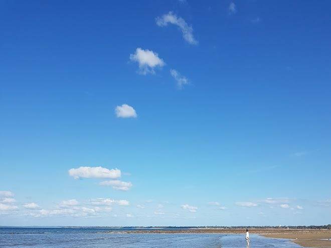 Tranquility by the bay