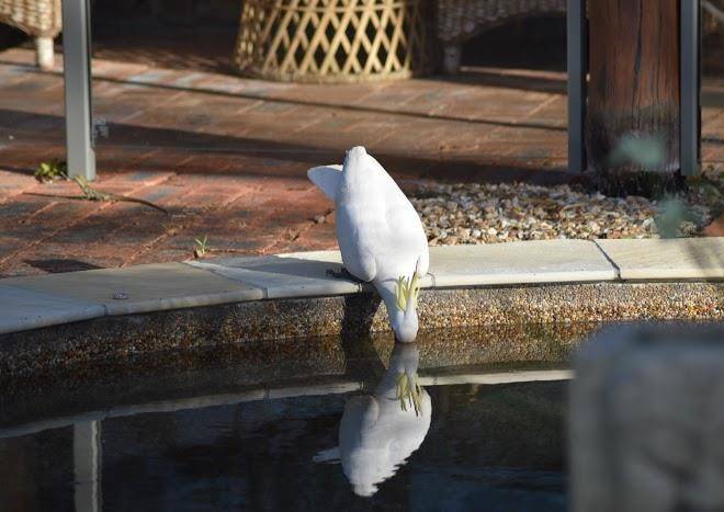 Hinterland Hideaway Image