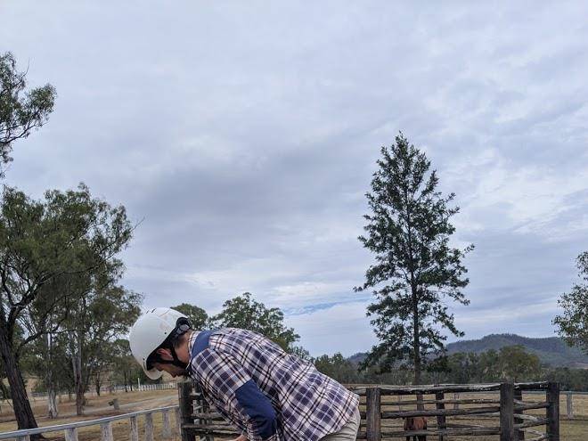 3c cattle co farmstay
