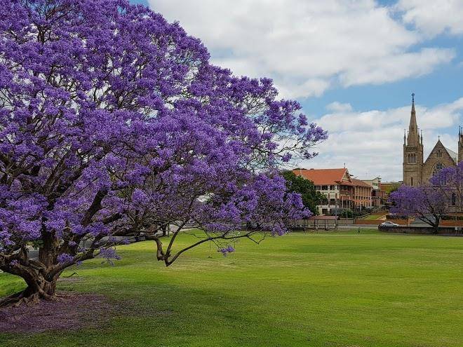 City View Hotel Image