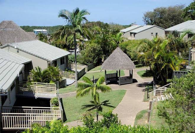 Pandanus palms resort