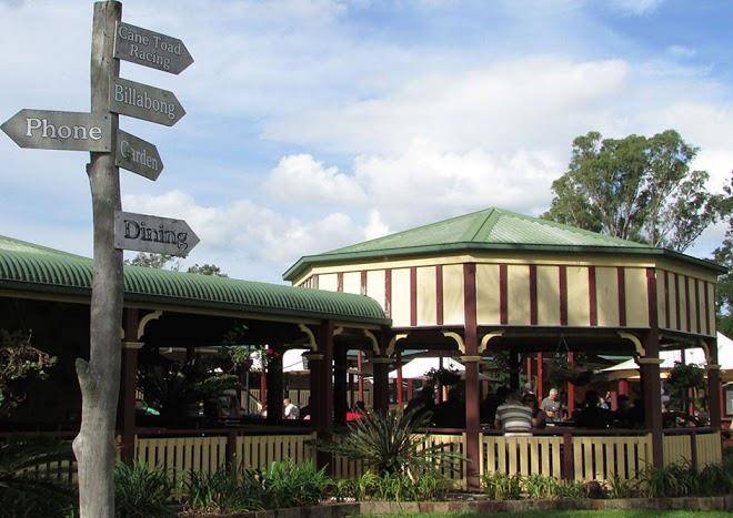 Bearded dragon hotel tamborine