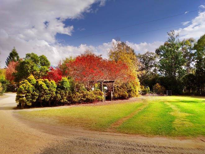 Bigriggen Park Image