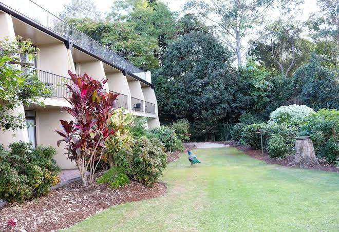 Mount Tamborine Motel Image