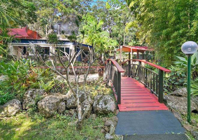 Songbirds rainforest retreat