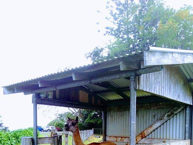 The seaview farm retreat