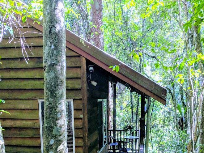 Adjinbilly rainforest retreat cabins