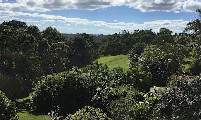 Avocado grove bed and breakfast flaxton sunshine coast