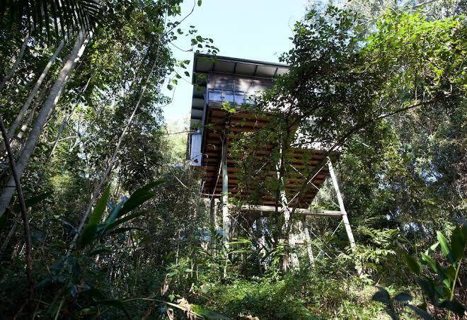 Lyola pavilions in the forest