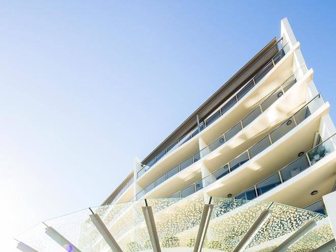 The dunes cotton tree