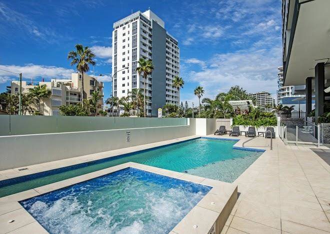 Verve on cotton tree