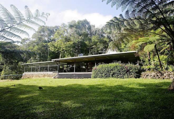 Chambers wildlife rainforest lodges