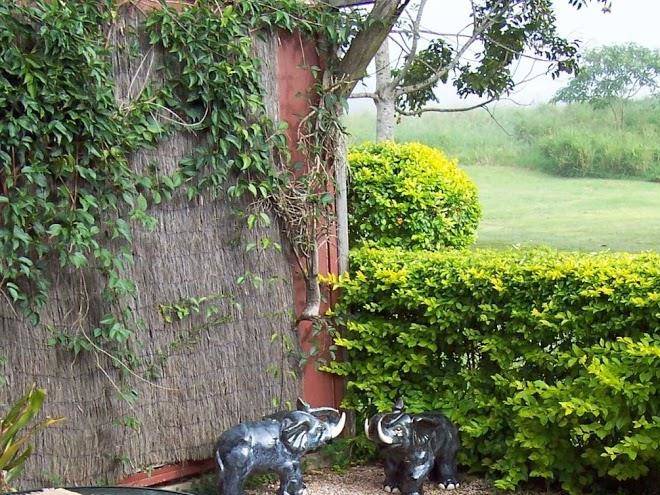 Gumtree on gillies bed and breakfast