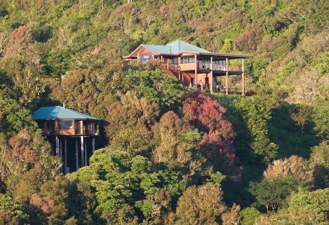Mt quincan crater retreat