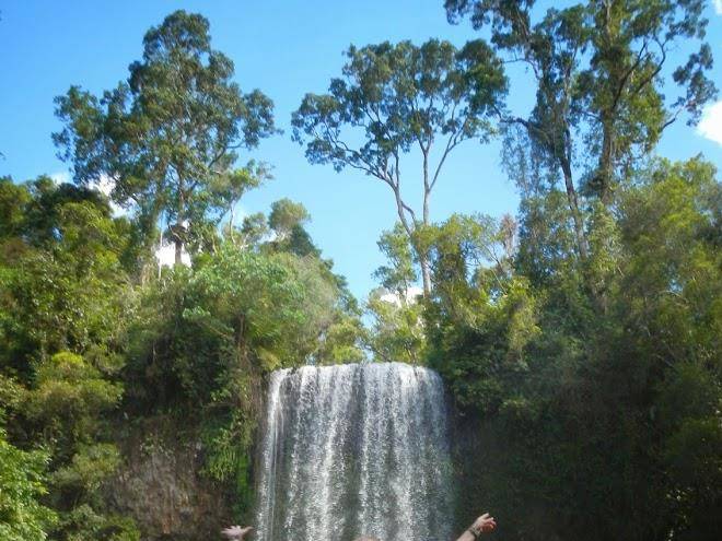 On the wallaby