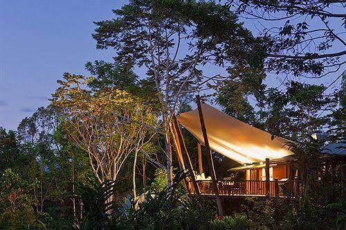 Rose gums wilderness retreat